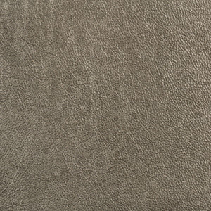 Trophy Silver by Groundworks Fabric