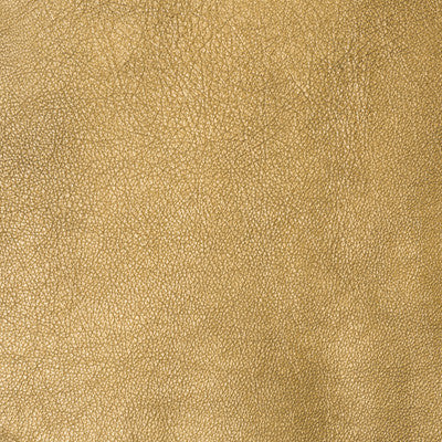 Trophy Gold by Groundworks Fabric