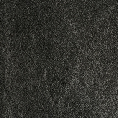 Trophy Graphite by Groundworks Fabric