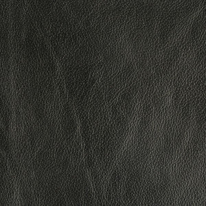 Trophy Graphite by Groundworks Fabric