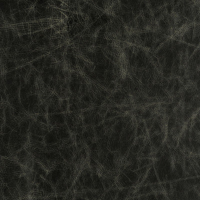 Notorious Black by Groundworks Fabric