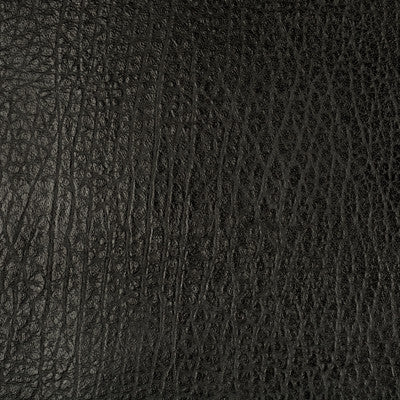 Femme Fatale Black by Groundworks Fabric
