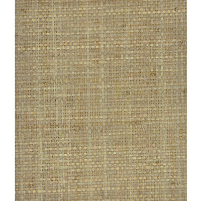 Heavy Raffia Sage by Lee Jofa Modern Wallcovering