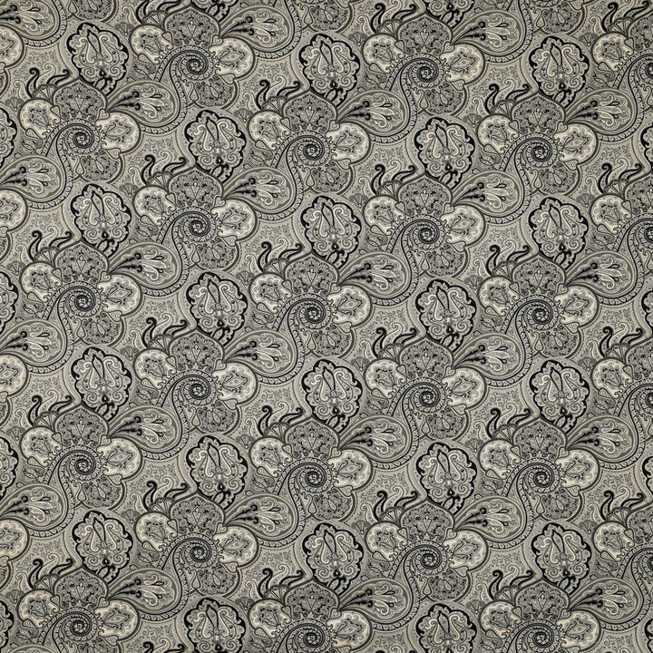 Habeas-81 by Kravet Basics Fabric
