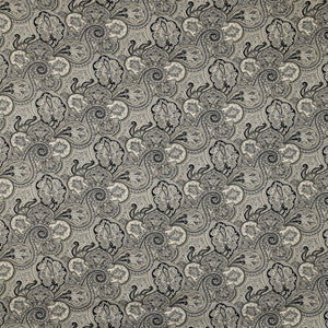 Habeas-81 by Kravet Basics Fabric