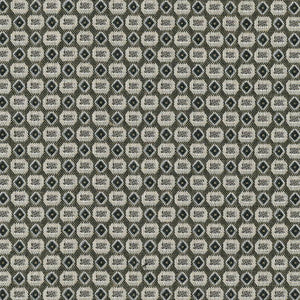 Haberdasher Io Carbon by Kasmir Fabric