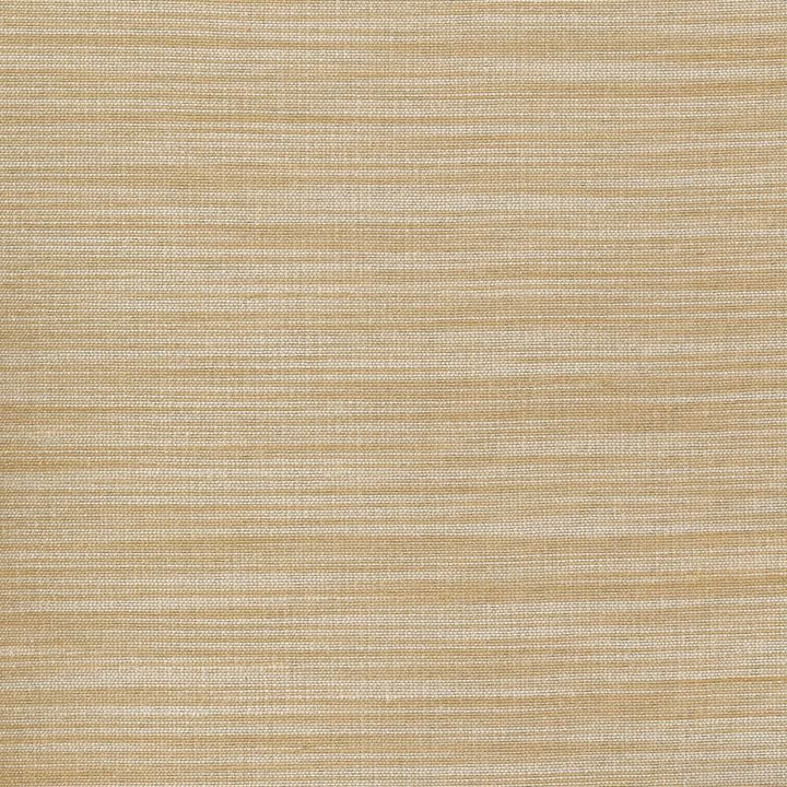 Han Champagne by Kasmir Fabric 1378 100% Polyester
 INDIA 15,000 Wyzenbeek Double Rubs Horizontal: N/A and Vertical: N/A 54 - Fabric Carolina -