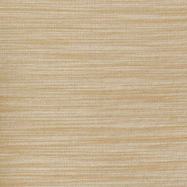 Han Champagne by Kasmir Fabric 1378 100% Polyester INDIA 15,000 Wyzenbeek Double Rubs H: N/A, V:N/A 54 - Fabric Carolina - Kasmir