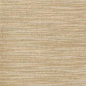 Han Champagne by Kasmir Fabric 1378 100% Polyester INDIA 15,000 Wyzenbeek Double Rubs H: N/A, V: N/A 54 - Fabric Carolina - Kasmir