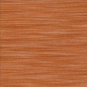 Han Coral by Kasmir Fabric 1378 100% Polyester INDIA 15,000 Wyzenbeek Double Rubs H: N/A, V: N/A 54 - Fabric Carolina - Kasmir