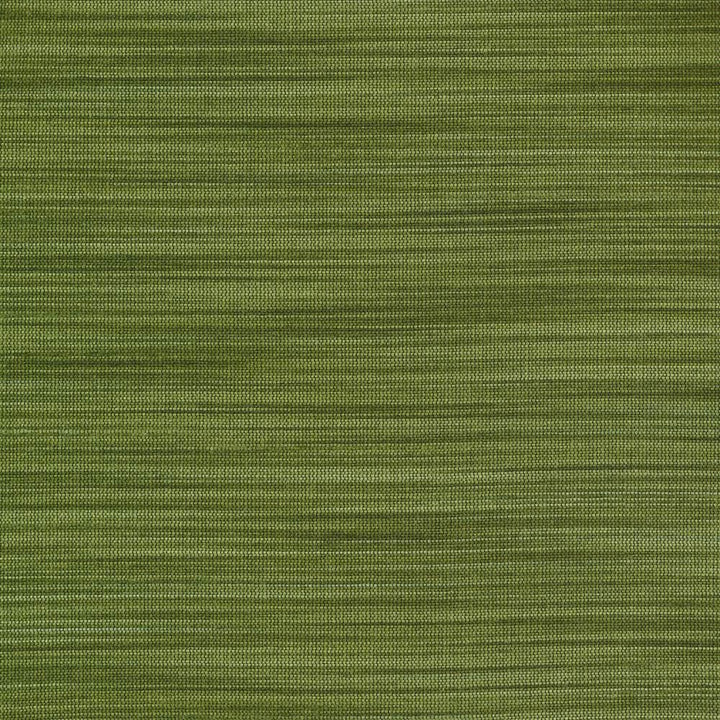 Han Forest by Kasmir Fabric 1378 100% Polyester
 INDIA </p><p>Repeat: Horizontal: N/A and Vertical: N/A 54 - Fabric Carolina -