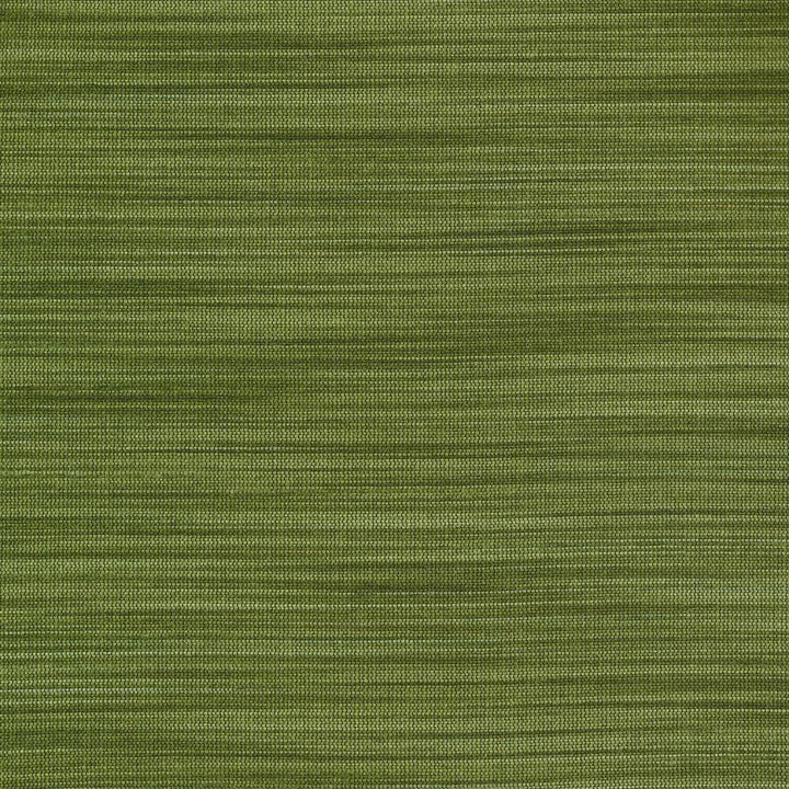 Han Forest by Kasmir Fabric 1378 100% Polyester INDIA 15,000 Wyzenbeek Double Rubs H: N/A, V:N/A 54 - Fabric Carolina - Kasmir