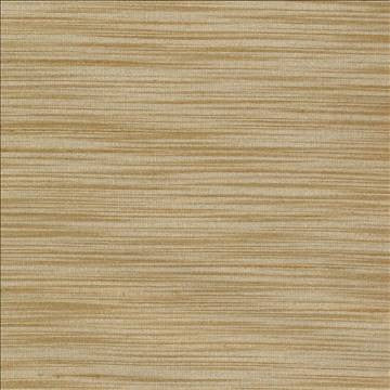 Han Tan by Kasmir Fabric 1378 100% Polyester INDIA 15,000 Wyzenbeek Double Rubs H: N/A, V: N/A 54 - Fabric Carolina - Kasmir