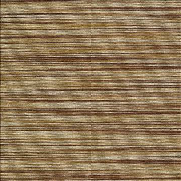 Han Walnut by Kasmir Fabric 1378 100% Polyester INDIA 15,000 Wyzenbeek Double Rubs H: N/A, V: N/A 54 - Fabric Carolina - Kasmir