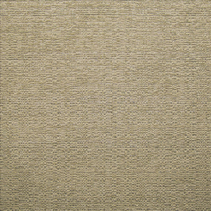 Happening Fawn by Kasmir Fabric 1466 100% Polyester
 CHINA 100,000 Wyzenbeek Double Rubs </p><p>Repeat: Horizontal: N/A and Vertical: N/A 54 - Fabric Carolina -
