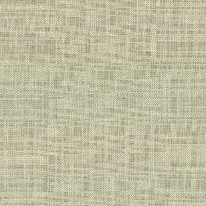 Harbinger Celery Seed by Kasmir Fabric 5026 85% Polyester 15% Viscose INDIA 20,000 Martindale Cycles H: N/A, V:N/A 54 - 58 - Fabric Carolina - Kasmir