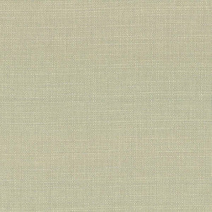 Harbinger Celery Seed by Kasmir Fabric