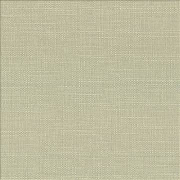 Harbinger Celery Seed by Kasmir Fabric 5026 85% Polyester 15% Viscose INDIA 20,000 Martindale Cycles H: N/A, V: N/A 54 - 58 - Fabric Carolina - Kasmir