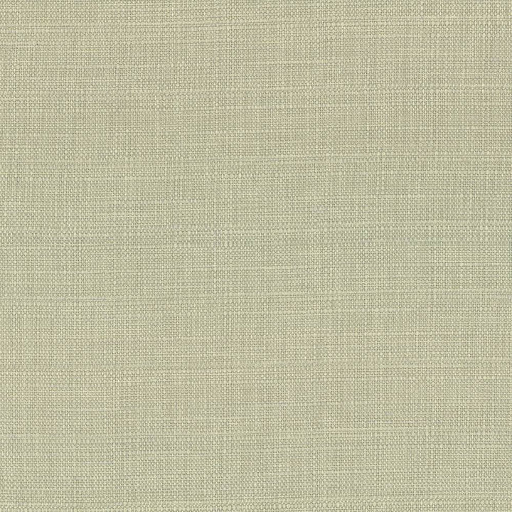 Harbinger Celery Seed by Kasmir Fabric 5026 85% Polyester
15% Viscose
 INDIA 20,000 Martindale Cycles Horizontal: N/A and Vertical: N/A 54 - Fabric Carolina -