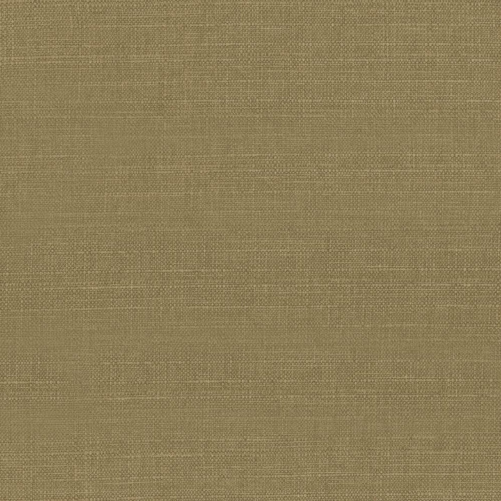 Harbinger Chestnut  by Kasmir Fabric See sample 85% Polyester
15% Viscose
 INDIA 20,000 Martindale Cycles </p><p>Repeat: Horizontal: N/A and Vertical: N/A 54  - Fabric Carolina -