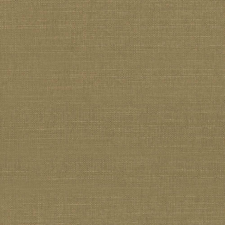 Harbinger Chestnut by Kasmir Fabric 5026 85% Polyester 15% Viscose INDIA 20,000 Martindale Cycles H: N/A, V:N/A 54 - 58 - Fabric Carolina - Kasmir