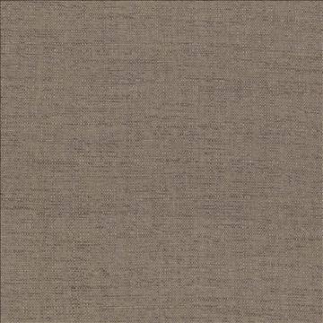 Harbinger Driftwood by Kasmir Fabric 5026 85% Polyester 15% Viscose INDIA 20,000 Martindale Cycles H: N/A, V: N/A 54 - 58 - Fabric Carolina - Kasmir