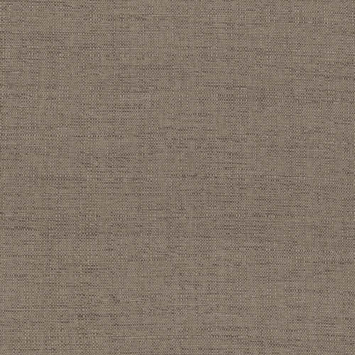 Harbinger Driftwood by Kasmir Fabric 5026 85% Polyester
15% Viscose
 INDIA </p><p>Repeat: Horizontal: N/A and Vertical: N/A 54 - 58 - Fabric Carolina -