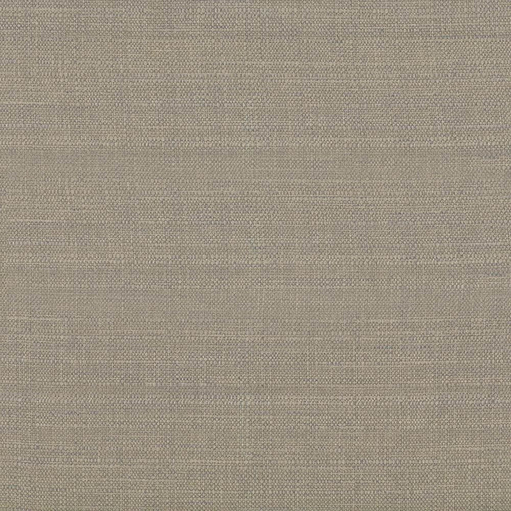 Harbinger Linen by Kasmir Fabric 5026 85% Polyester
15% Viscose
 INDIA </p><p>Repeat: Horizontal: N/A and Vertical: N/A 54 - 58 - Fabric Carolina -