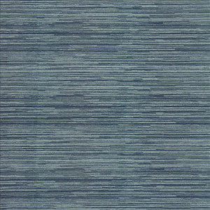 Harmony Stripe Chambray by Kasmir Fabric
