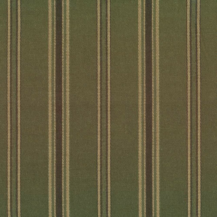 Haverstock Hill Basil by Kasmir Fabric 1382 58% Cotton
42% Polyester
 TAIWAN 30,000 Wyzenbeek Double Rubs </p><p>Repeat: Horizontal: 3 3/8 inches and Vertical: N/A 54 - Fabric Carolina -