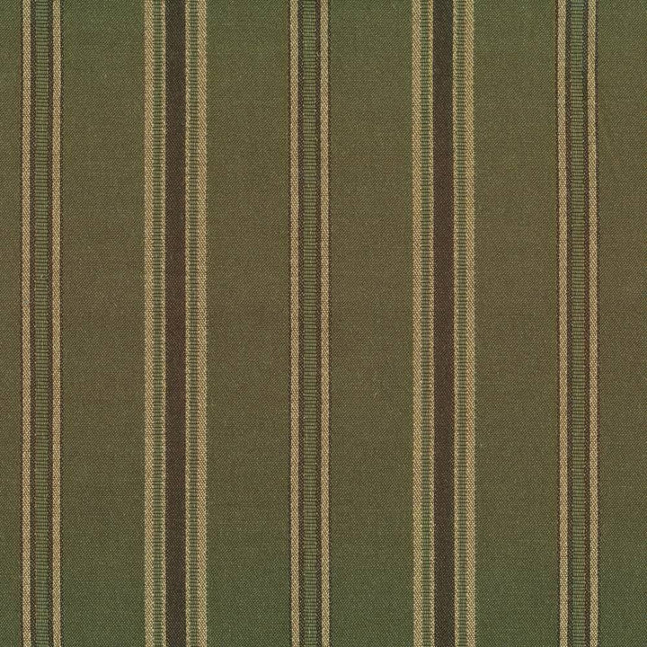 Haverstock Hill Basil by Kasmir Fabric 1382 58% Cotton 42% Polyester TAIWAN 30,000 Wyzenbeek Double Rubs H: 3 3/8 inches, V:N/A 54 - 55 - Fabric Carolina - Kasmir