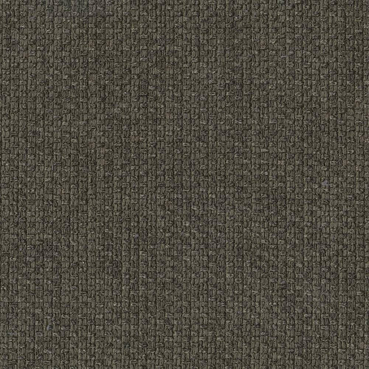 Hayden Texture Flannel by Kasmir Fabric 1407 100% Polyester CHINA 100,000 Wyzenbeek Double Rubs H: N/A, V:N/A 59 - Fabric Carolina - Kasmir