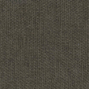 Hayden Texture Flannel by Kasmir Fabric