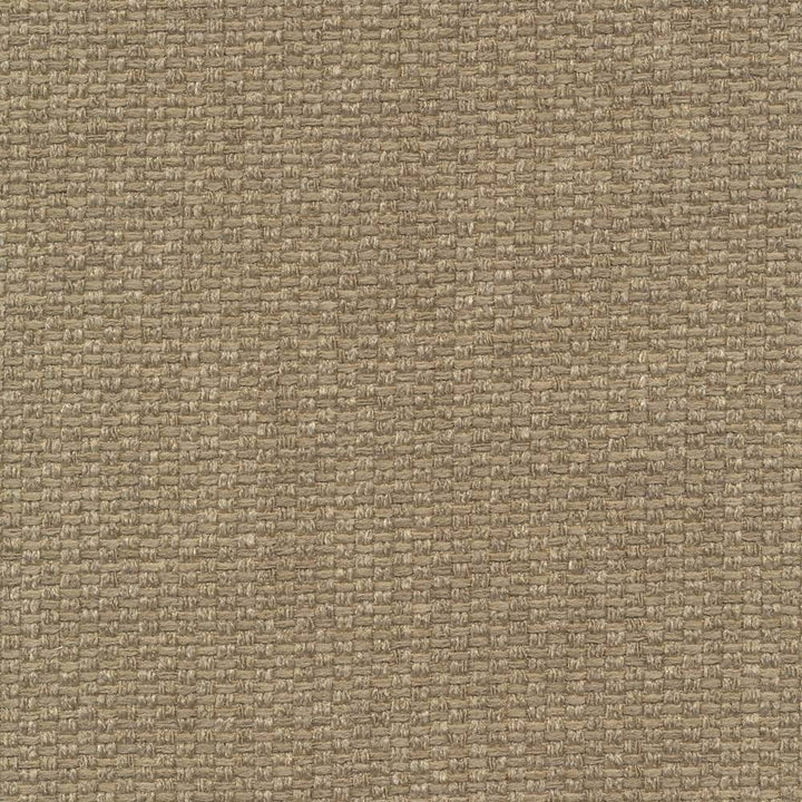 Hayden Texture Flax by Kasmir Fabric 1407 100% Polyester CHINA 100,000 Wyzenbeek Double Rubs H: N/A, V:N/A 59 - Fabric Carolina - Kasmir
