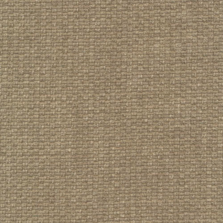 Hayden Texture Flax by Kasmir Fabric 1407 100% Polyester CHINA 100,000 Wyzenbeek Double Rubs Horizontal: 0 Inches and Vertical: 0 Inches 59 - Fabric Carolina -