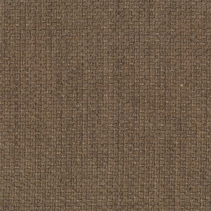 Hayden Texture Jute by Kasmir Fabric 1407 100% Polyester CHINA 100,000 Wyzenbeek Double Rubs H: N/A, V:N/A 59 - Fabric Carolina - Kasmir