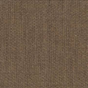 Hayden Texture Jute by Kasmir Fabric 1407 100% Polyester CHINA 100,000 Wyzenbeek Double Rubs H: N/A, V: N/A 59 - Fabric Carolina - Kasmir