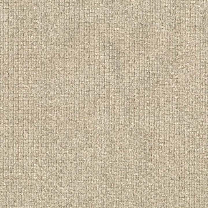 Hayden Texture Sisal by Kasmir Fabric 1407 100% Polyester CHINA 100,000 Wyzenbeek Double Rubs H: N/A, V:N/A 59 - Fabric Carolina - Kasmir