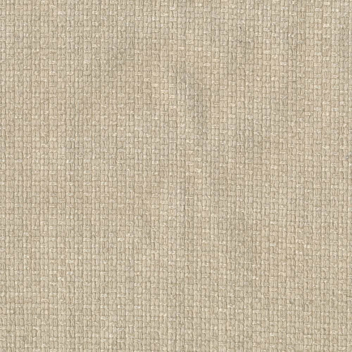 Hayden Texture Sisal by Kasmir Fabric 1407 100% Polyester
 CHINA 100,000 Wyzenbeek Double Rubs Horizontal: N/A and Vertical: N/A 59 - Fabric Carolina -