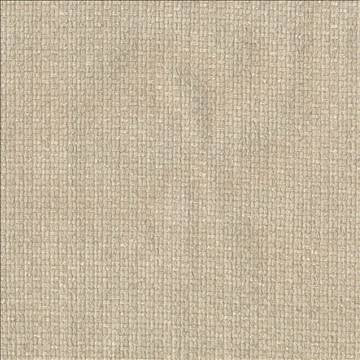 Hayden Texture Sisal by Kasmir Fabric 1407 100% Polyester CHINA 100,000 Wyzenbeek Double Rubs H: N/A, V: N/A 59 - Fabric Carolina - Kasmir