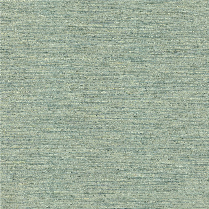 Headland Pool by Kasmir Fabric 5145 80% Polyester
20% Cotton
 INDIA 30,000 Wyzenbeek Double Rubs </p><p>Repeat: Horizontal: N/A and Vertical: N/A 54 - Fabric Carolina -