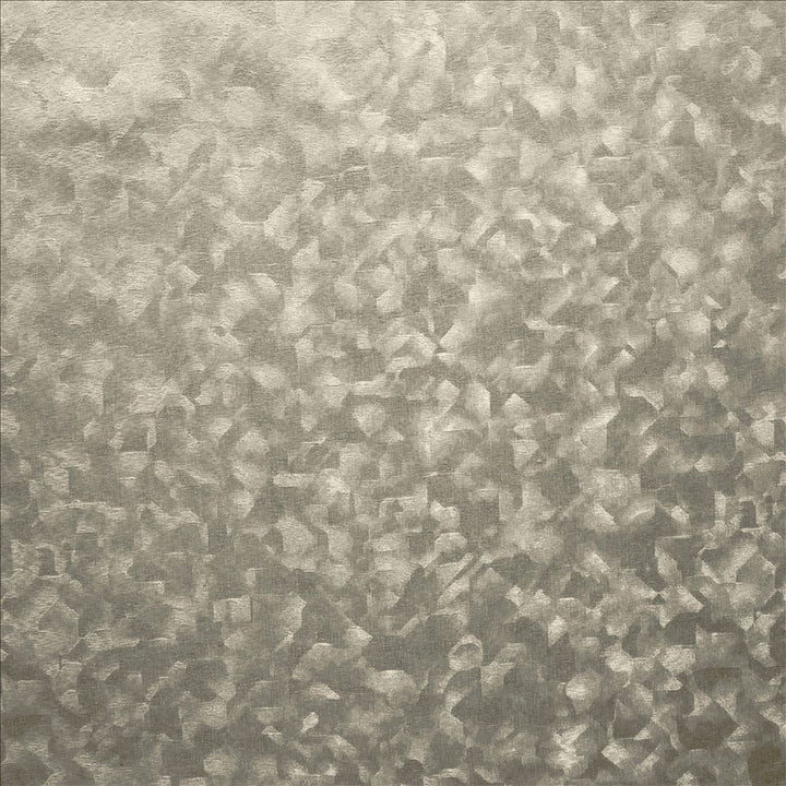 Hermione Pewter by Kasmir Fabric 1460 100% Polyester
 CHINA 15,000 Wyzenbeek Double Rubs </p><p>Repeat: Horizontal: N/A and Vertical: N/A 54 - Fabric Carolina -