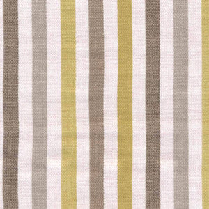 Hidcote Stripe Mimosa by Kasmir Fabric