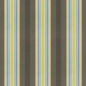 Highgrove Stripe Dandelion by Kasmir Fabric