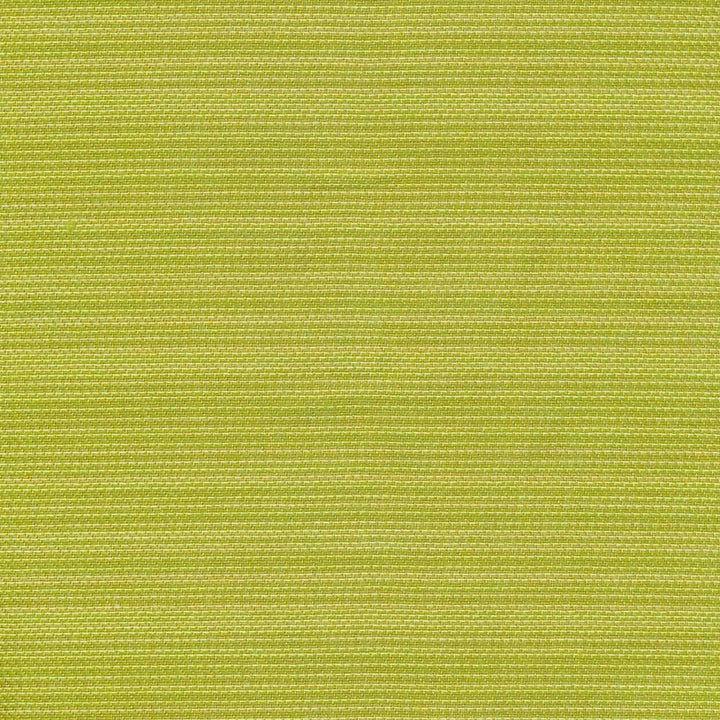 Hilcrst Plain Io Frond by Kasmir Fabric 1413 100% Acrylic
 USA </p><p>Repeat: Horizontal: N/A and Vertical: N/A 54 - Fabric Carolina -