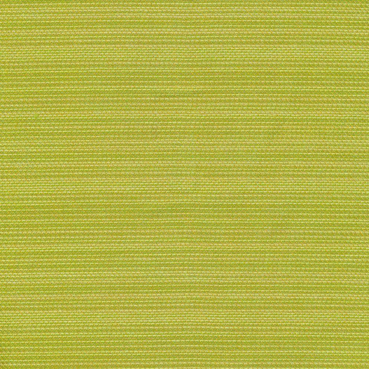 Hilcrst Plain Io Frond by Kasmir Fabric 1413 100% Acrylic USA 12,000 Wyzenbeek Double Rubs H: N/A, V:N/A 54 - Fabric Carolina - Kasmir