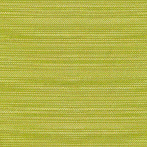 Hilcrst Plain Io Frond by Kasmir Fabric