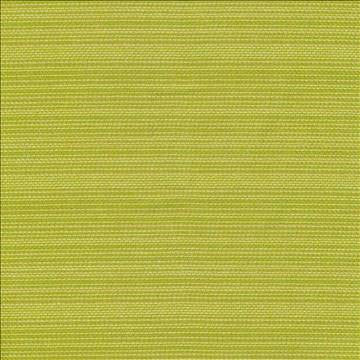Hilcrst Plain Io Frond by Kasmir Fabric 1413 100% Acrylic USA 12,000 Wyzenbeek Double Rubs H: N/A, V: N/A 54 - Fabric Carolina - Kasmir