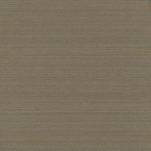 Hilcrst Plain Io Sandbar by Kasmir Fabric