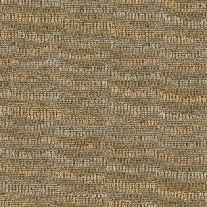 Holmby Texture Birch by Kasmir Fabric 1424 62% Cotton
38% Rayon
 USA 38,000 Wyzenbeek Double Rubs Horizontal: N/A and Vertical: N/A 58 - Fabric Carolina -